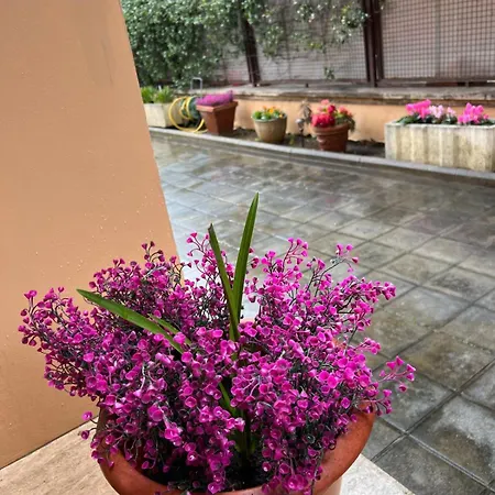 Dei Fiori Rome